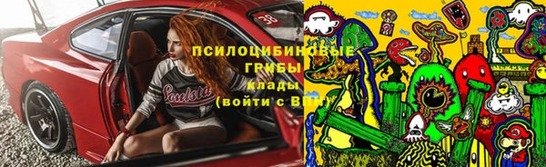 spice Данков