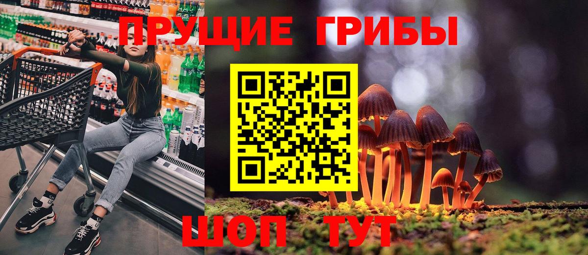 Балахна  купить наркоту  Вход с VPN  Галлюциногенные грибы Psilocybe 